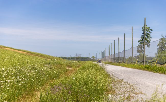 Walker Begins Next Step in its Environmental Assessment for Future Development of its South Landfill