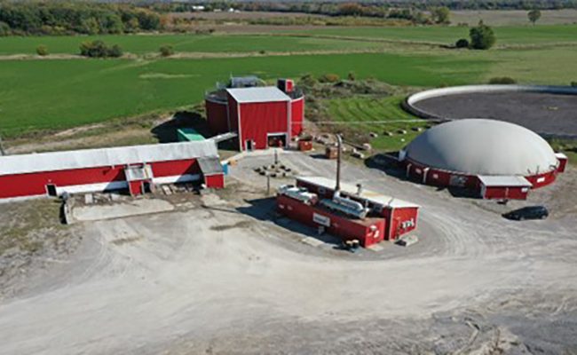 Maryland Farms
