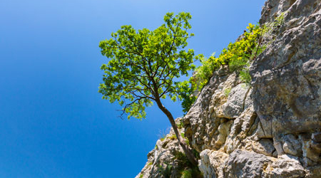 RESILIENCE