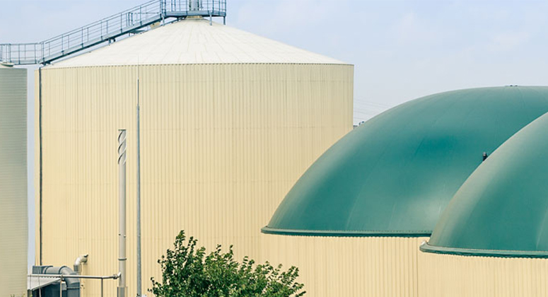 Anaerobic Digestion