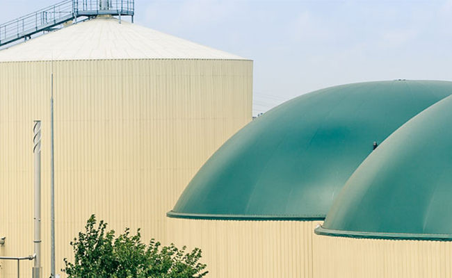 Anaerobic Digestion
